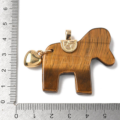 Natural Tiger Eye Carved Pendants G-C274-02J-1