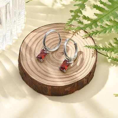 304 Stainless Steel Micro Pave Cubic Zirconia Hoop Earrings STAS-R004-06P-01-1