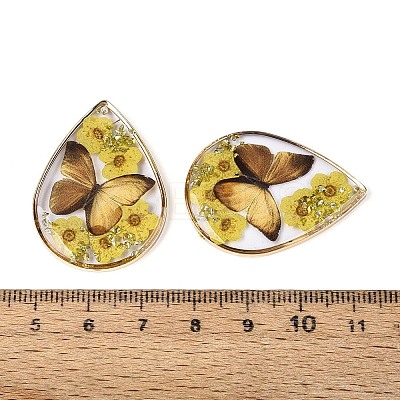 Transparent Epoxy Resin Pendants RESI-T059-20B-1