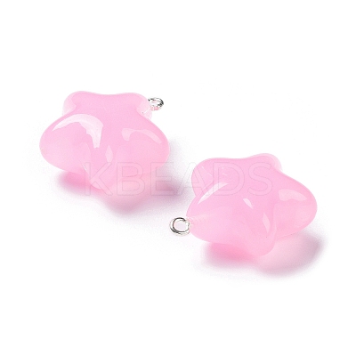Acrylic Pendants OACR-G016-37A-1