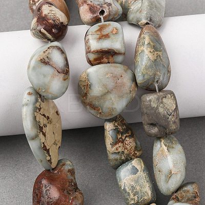 Natural Shoushan Stone Beads Strands G-D098-C05-1