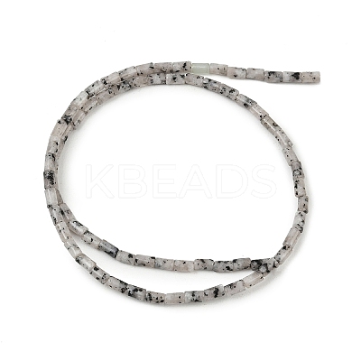 Natural Seame Jasper Beads Strands G-P600-B11-01-1
