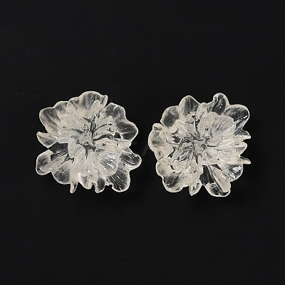 Transparent Resin Cabochons LS-X-RESI-G027-01A-1