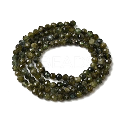 Natural Green Tourmaline Beads Strands G-L653-B03-3mm-1