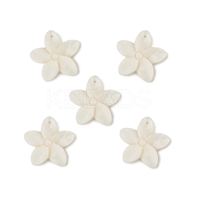 Freshwater Shell Pendants SHEL-T009-23-1