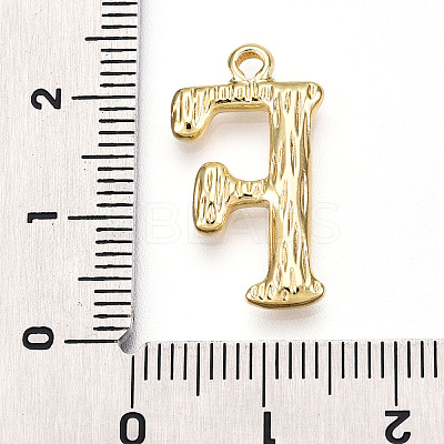 304 Stainless Steel Pendants LS-STAS-N117-01G-F-1