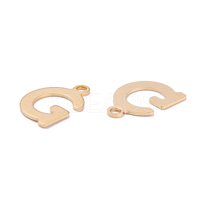 201 Stainless Steel Charms LS-STAS-C021-06G-G-1
