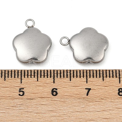 Tarnish Resistant 304 Stainless Steel Charms STAS-K002-33A2-1