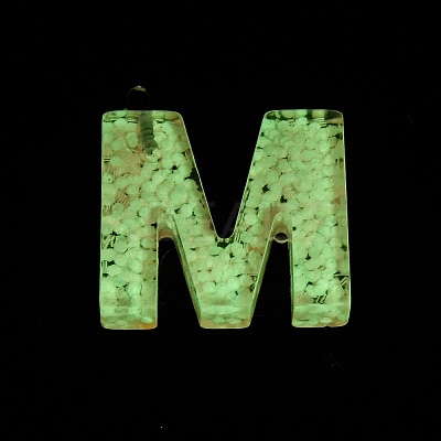 Luminous Resin Pendants X1-RESI-I059-M01-1