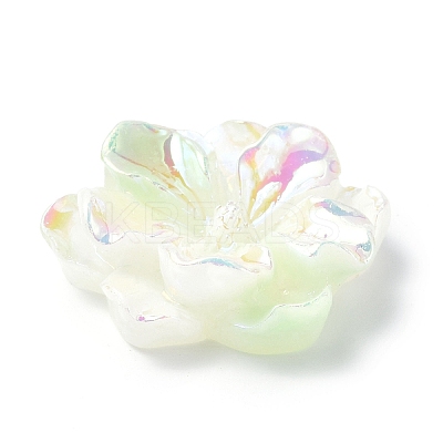 Luminous Resin Cabochons X-RESI-E033-02D-1