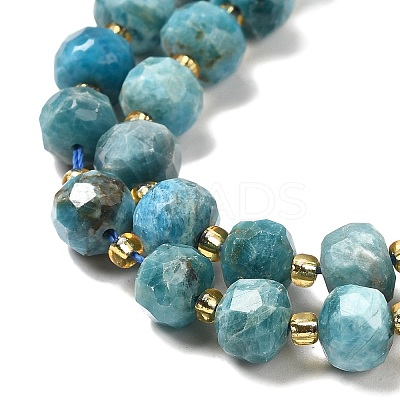 Natural Apatite Beads Strands G-P508-A15-01-1