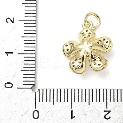 Brass Micro Pave Cubic Zirconia Pendants LS-KK-L248-12G-1