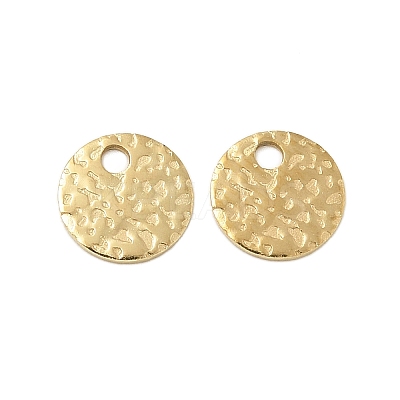 304 Stainless Steel Charms STAS-L022-461G-1