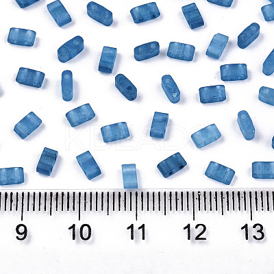 FGB 2-Hole Baking Paint Glass Seed Beads LS-X-SEED-S031-M-SH1205FR-1