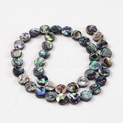 Natural Abalone Shell/Paua Shell Beads Strands X-SSHEL-G003-5-10x3mm-1