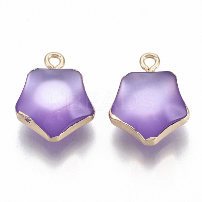 Resin Pendants RESI-S383-031D-1