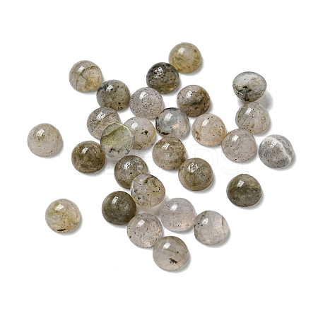 Natural Labradorite Cabochons G-Q173-01B-15-1