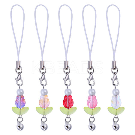 5Pcs Lampwork & Glass Pearl Mobile Straps HJEW-CA00042-1