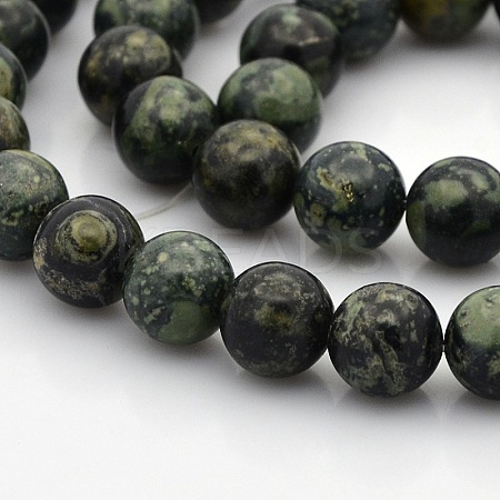 Natural Kambaba Jasper Beads Strands G-N0120-09-10mm-1