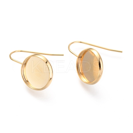 304 Stainless Steel Earring Hooks STAS-F227-22C-G-1