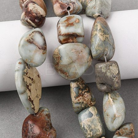 Natural Shoushan Stone Beads Strands G-D098-C05-1