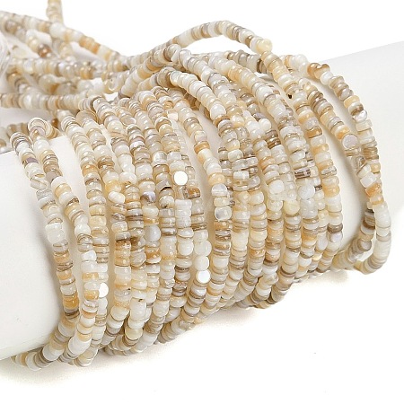 Natural Freshwater Shell Beads Strands BSHE-H109-13A-1