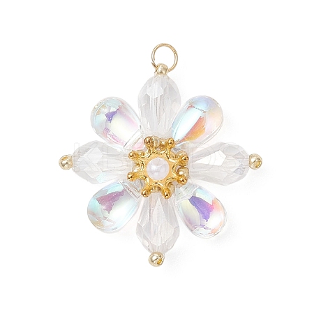 Glass Beaded Pendants PALLOY-MZ01186-01-1