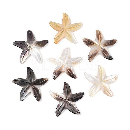 Natural Sea Shell Pendants X-SSHEL-T012-08-1