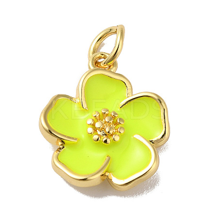 Rack Plating Brass Enamel Charms KK-O142-56G-03-1