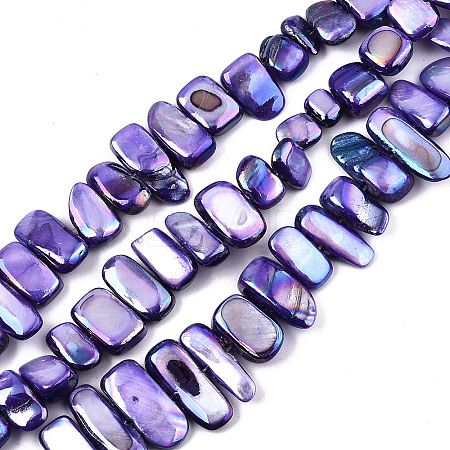 Natural Freshwater Shell Beads Strands X-SHEL-N026-123H-1