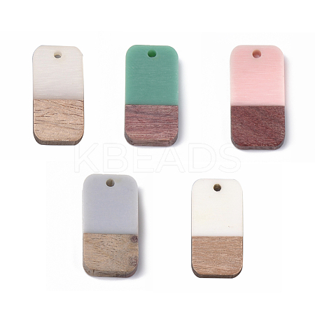 Resin & Walnut Wood Pendants RESI-S358-11-M-1