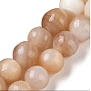 Natural Pink Shell Beads Strands SHEL-D002-A01-3mm-1