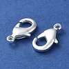 Rack Plating Brass Lobster Claw Clasps KK-F090-27S-03-2