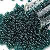 TOHO Round Seed Beads SEED-JPTR08-0108BD-1