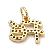 Brass Micro Pave Clear Cubic Zirconia Charms X-ZIRC-A013-24G-2