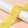 Natural Selenite Dyed Beads Strands G-P493-02B-2