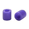 1 Box 5mm Hama Beads PE DIY Fuse Beads Refills for Kids DIY-X0047-A39-B-3