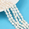 Natural Cultured Freshwater Pearl Beads Strands PEAR-P064-20I-02A-02-1