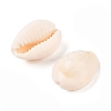 Cowrie Shell Pendants X-PTS057Y-2