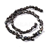 Natural Freshwater Shell Beads Strands BSHE-S304-06-2