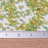 MIYUKI Delica Beads SEED-MY11-DB0983-4