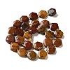 Natural Petrified Wood Beads Strands G-H344-B03-01-3