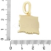 Brass Enamel Pendants KK-F886-01G-01-3