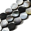 Natural Black Lip Shell Beads Strands BSHE-D300-05-12mm-1