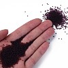 15/0 Transparent Czech Glass Seed Beads SEED-N004-004-19-5