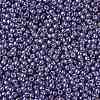 TOHO 11/0 Round Beads LS-X-SEED-TR11-PF0567-2