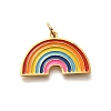 Pride 304 Stainless Steel Enamel Pendants LS-STAS-B079-01G-06-1