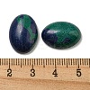 Synthetic Chrysocolla Cabochons G-C115-01A-04-3