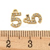 304 Stainless Steel Pendants STAS-L080-002G-05-3
