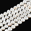 Natural Freshwater Shell Beads Strands SHEL-N026-220A-1